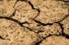 Half of Czech Republic Hit By Extreme Soil Drought, Say Experts