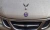 Last of the Saabs: Seven cars from brand's shuttered factory in Sweden sell at auction for £80,000