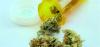 Study: Medical Cannabis Effective Against Anxiety and Depression for Autism Patients