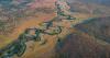Remote Angola Expedition Uncovers New Insects, Reptiles and Amphibians