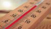 Swiss Heatwaves Drive Increase in Summer Mortality