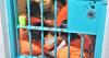LETTER: Overcrowded cells, overlooked risks: Guam’s corrections crisis