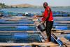 Yaoundé Aquaculture Expo Highlights Cameroon’s Drive to Reduce Fish Imports