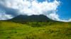Missing cruise ship visitor found dead in St. Kitts and Nevis 