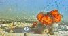 Kuwaitis mired in fear and anger after deadly attack on airport