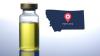 Monkeypox Virus Smuggling Case Involves NIH Researchers In Montana
