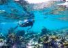 Reef Keeper Program Shows the Power of Tourism Giving Back to Nature