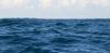 Papua New Guinea plans largest marine sanctuary in Melanesia