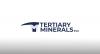 Tertiary Minerals uncovers continuation of rich copper vein in Zambia