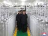 N Korea’s Kim Jong Un calls for ‘exponential’ expansion of nuclear arsenal