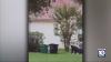 Florida black bear roams through Port St. Lucie community