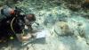 First shipwrecks linked to real pirates of the Caribbean found in Bahamas