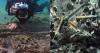 Shipwrecks discovered from ‘Golden Age of Piracy’ in 18th century Bahamas