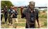 Four feared dead as bandits attack two villages, hospital in Niger