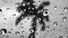 Florida rain has helped, but July 4 fireworks shows still up in the air