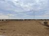 Border ranchers say New World screwworm fight remains critical as Mexico cattle trade set to resume