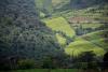 Better land use and management could improve biodiversity, climate and economic development