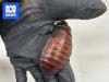 Madagascar hissing cockroaches among $200,000 invertebrate seizure
