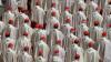 Vatican releases consistory schedule, confidentiality note