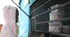 VUSI VOKWANA | The spaza myth: how black South Africa is being sold a counterfeit economy
