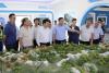 Bridges and tunnels to make up 40 percent of new railway in Kyrgyzstan