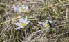 Minnesota Master Naturalist volunteer training signups open
