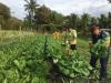 OPINION: A path to greater food security and economic resilience