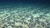 NOAA Advances Deep Sea Minerals Application in Latest U.S. Seabed Mining Move