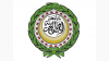 Arab League condemns Israeli military demolition of entire neighbourhood in Lebanon