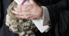 ‘This is an emergency’: Civil legal aid in similar funding crisis to criminal side, report finds