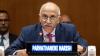 India reiterates support for Palestine at UNSC