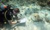 The REAL Pirates of the Caribbean: Scientists discover three shipwrecks with 'all the signs of pirate mischief' off the coast of the Bahamas