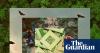 A disease of deforestation: how Ebola is linked to the smartphone in your pocket