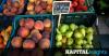 Food apocalypse now: How and why Bulgarian products are vanishing