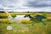 This Minnesota City Wants All Goose Eggs GONE