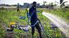 Ghana's Informal Sector Growth, 2014 to 2023: How Agriculture Held the Line While Services Collapsed