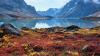 Why Greenland's fjords are a kayaker's dream