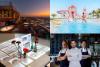 Guru's Weekly Buzz: June 5-11