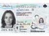 Alberta's new all-in-one-licence: Nally 'empathetic' to those having issues, aware of long lineups