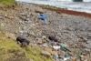 Housing Minister and CWSA on joint initiative against illegal dumping