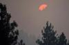 Climate Connections: We can all take action in smoke season