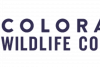 Rocky Mountain Elk Foundation selected by the Colorado Wildlife Council as the 2026 Conservationist of the Year