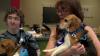 Wisconsin Humane Society has rescued Ridglan Farms beagles up for adoption