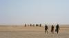 50 Travelers Die Of Thirst In Sahara Desert