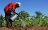 Nairobi to host major Africa agri-finance summit as leaders seek solutions to a $100 billion agriculture funding gap.