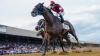 How to bet on the 2026 Belmont Stakes: Betting guide, odds, picks, predictions, promos, start time at Saratoga