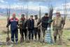 Combating climate change: FAO plants over 400,000 trees in Kyrgyzstan