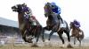 Saturday at the Spa: Saratoga Race Course picks for Jim Dandy Day and two other graded stakes races