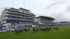 Epsom Derby Results & Payouts After Christmas Day Win