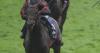 Maltese Cross nearly produced Hollywood ending to the Derby
